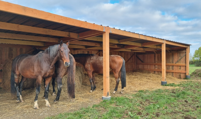 Pension pré chevaux Calvados