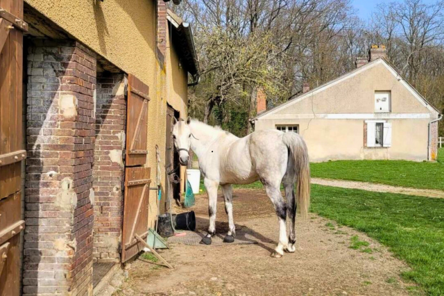 Propriété équestre de 6ha située à 1H de Paris