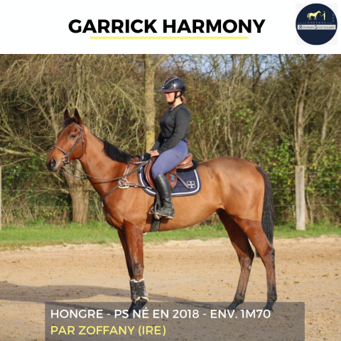 SUPERBE PS DE 7 ANS - GARRICK HARMONY