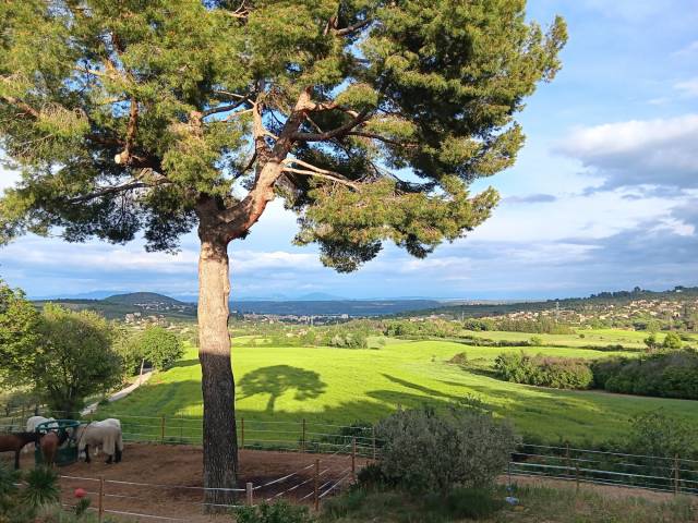 Propriété d'execption à Manosque (04)