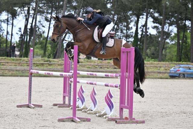 Hongre 9 ans potentiel 130/135 par l’Arc de Triomphe