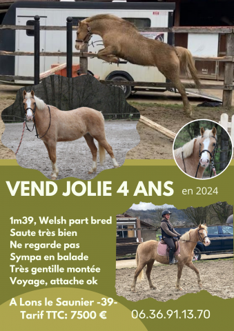 PONETTE 4 ANS