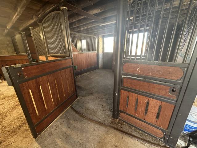 Pension cheval box/paddock