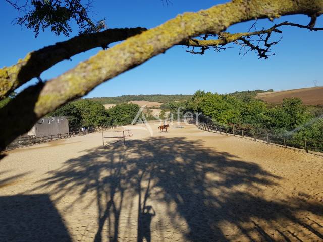 CENTRE EQUESTRE de 5 ha avec bar - JEZAINVILLE