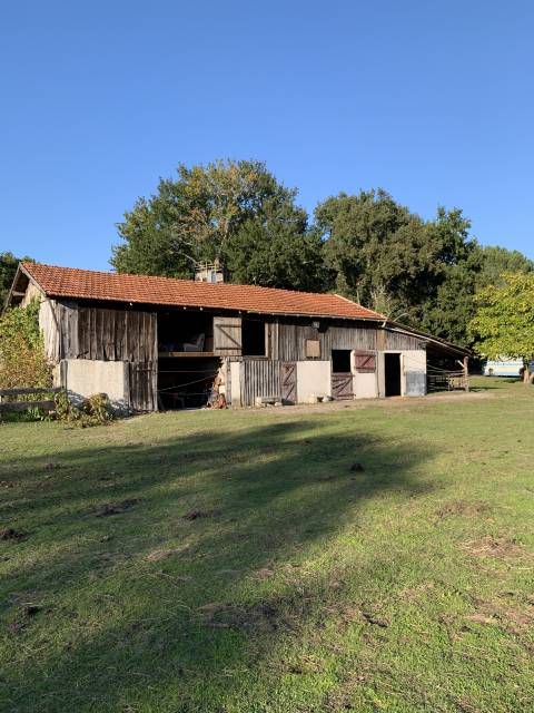 Propriété équestre 8 hectares bassin Arcachon