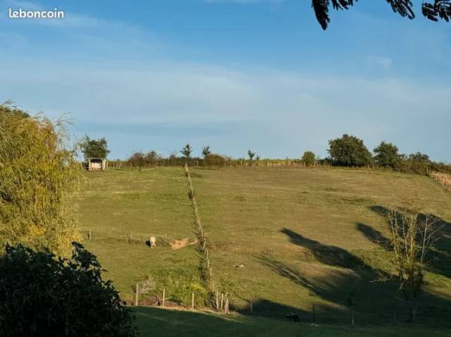 Pré pour poney