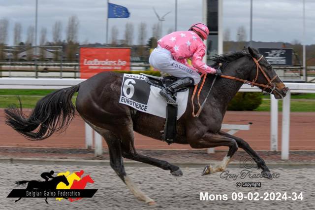 Poulinière gagnant PS de Birchwood x Orpen