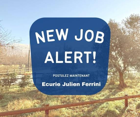 Recherche Palefrenier / Soigneur (région Montpellier)