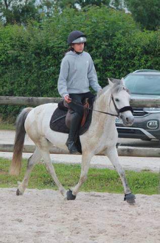 A vendre ponette oc 11 ans