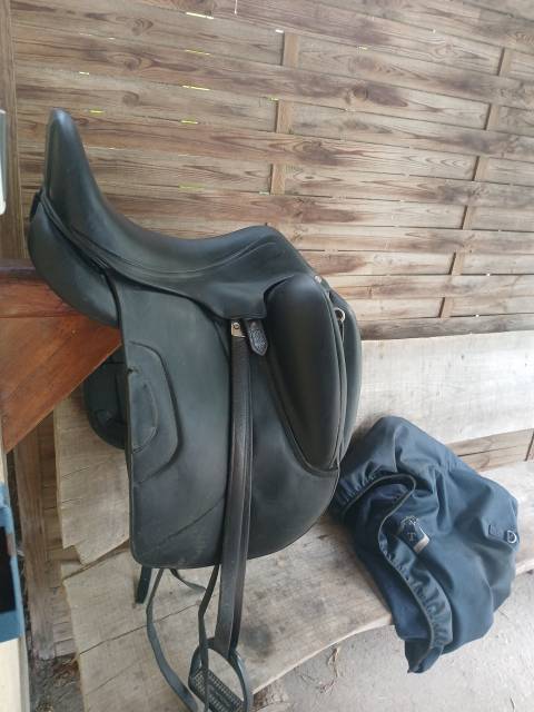 selle dressage antares tempo 2020