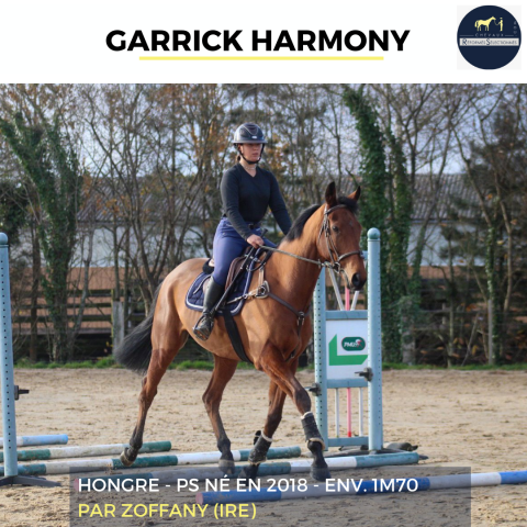 GARRICK HARMONY - 7 ANS - PS