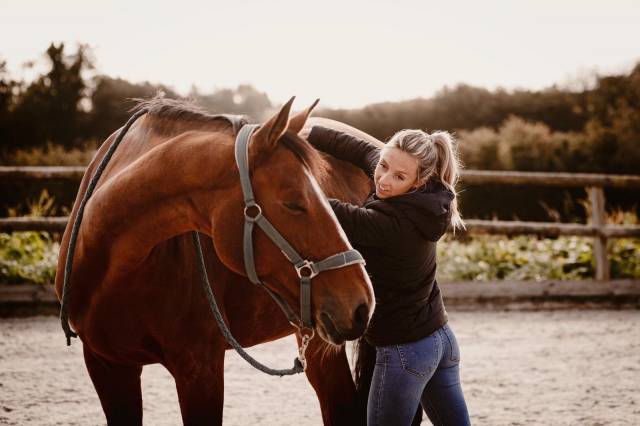 Balneotherapie cheval Deauville