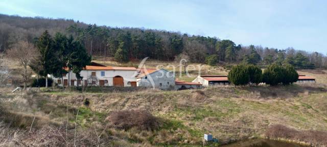 Ferme d'élevage secteur côte roannaise