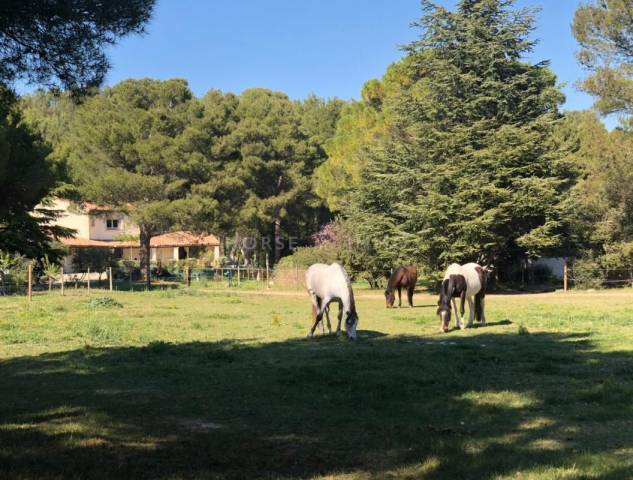 Alpilles - magnifique domaine de 6,5 hectares