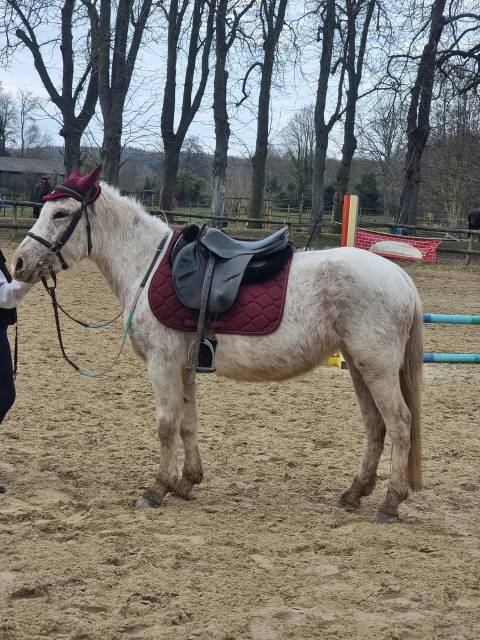 Ponette PFS 6 ans