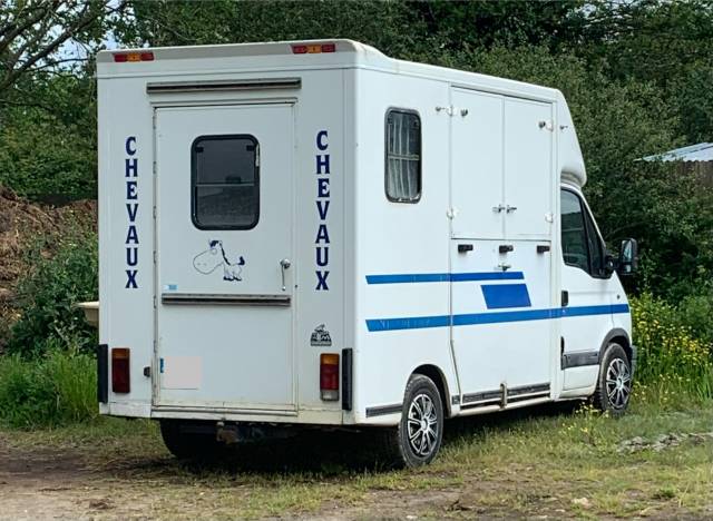 Camion chevaux 