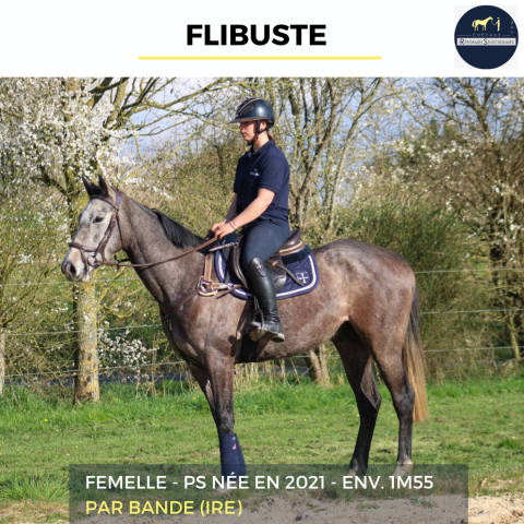 FLIBUSTE - PS - 4 ANS