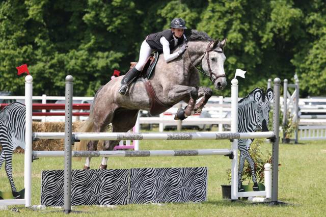 Hongre de 10 ans par Urano de Cartigny