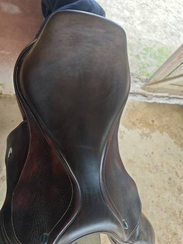 Selle Ikonic 17