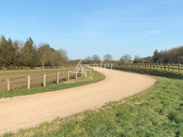 Haras d'élevage 77 hectares