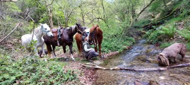 Estive confortable en montagne noire