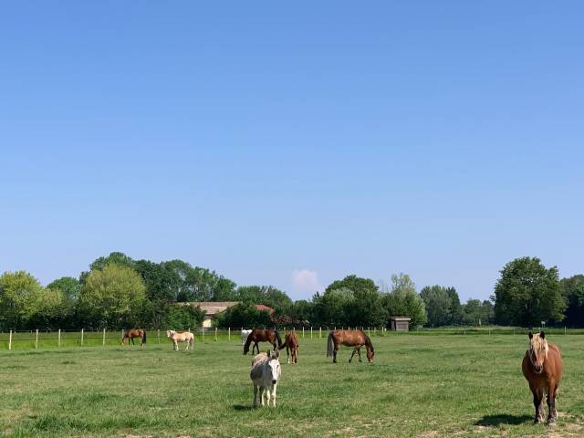 Pension près sandrans 01