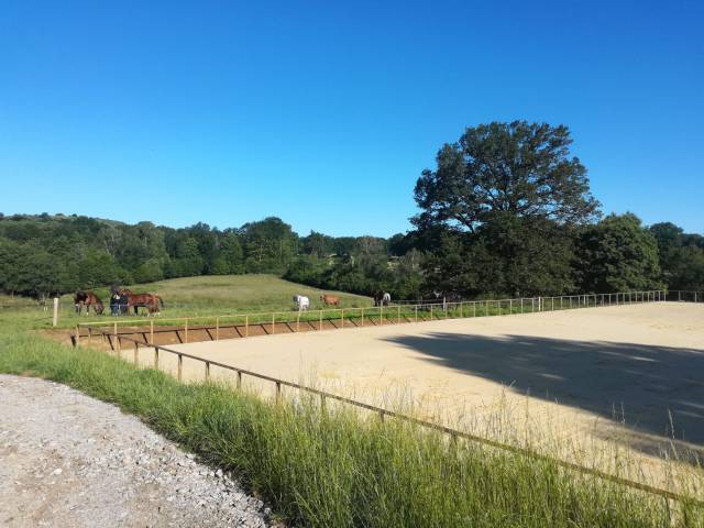 Pension au pré et pension pré/boxe
