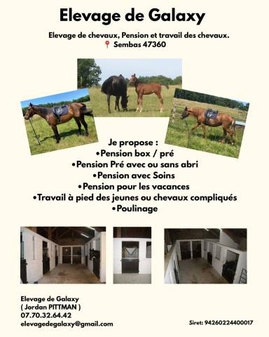 Pension chevaux - elevage de galaxy 47360 sembas