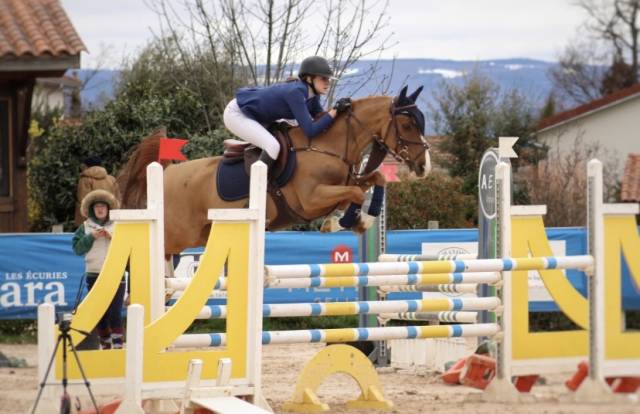 A vendre poney de sport