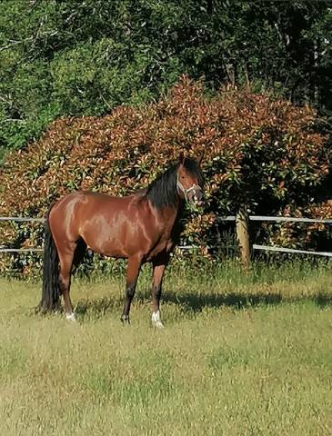 urgent av entier 8 ans