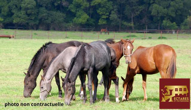 Structure équestre 13 hectares