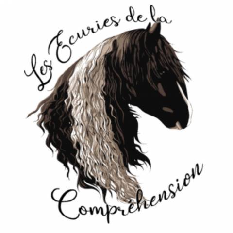 Pension box paddocks