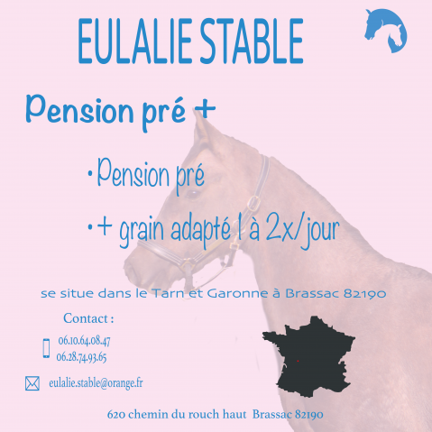 Pension chevaux – brassac (82190) – dès 200€/mois