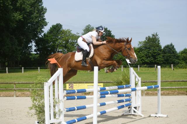 Hongre de 7ans gros potentiel