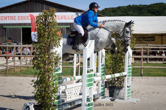 Jument , 7 ans, gris , taille 1.65