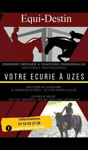 Pension chevaux
