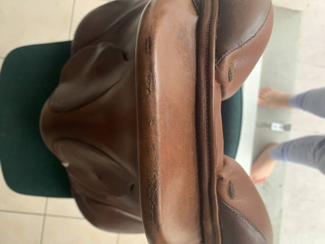 Selle eric thomas 17,5