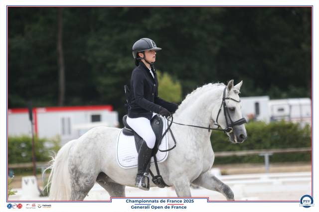 Poney étalon cce champion de france p élite d junior