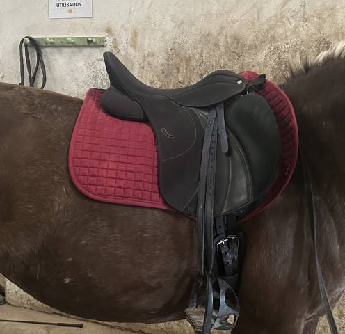 Selle wintec lite 16,5