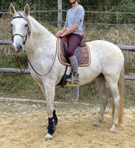 Alizée de la goudelie