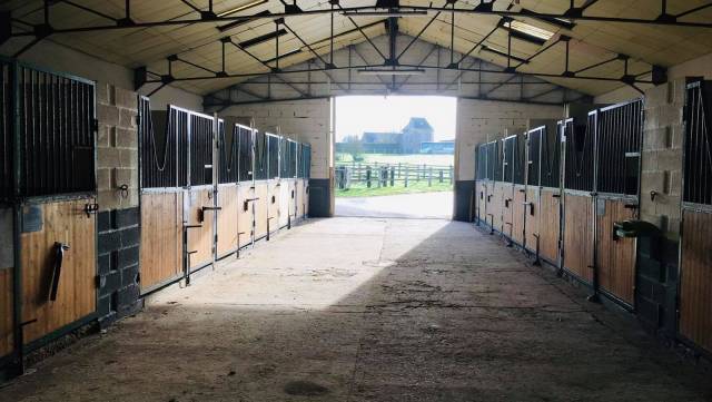 écurie picardie - pawelec stables