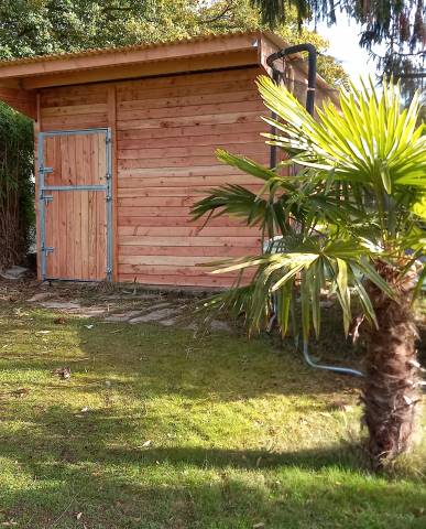 Box club en bois douglas