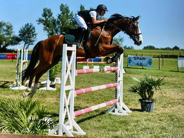 Hongre 9 ans gagnant 125-130