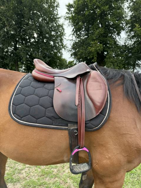 Selle cwd se02 2021 18p