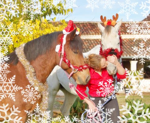 La méthodes équine impériale vous présente mrelegance!