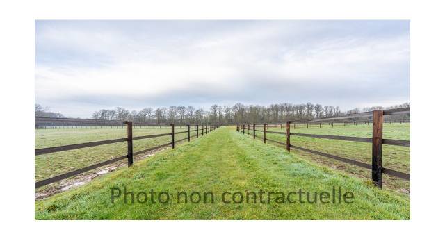 Ecurie de proprietaires en activite sur 10 ha