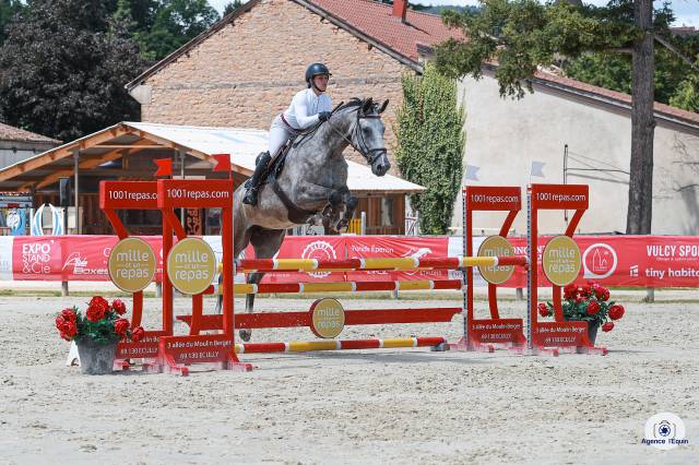 Jument de sport de 5ans