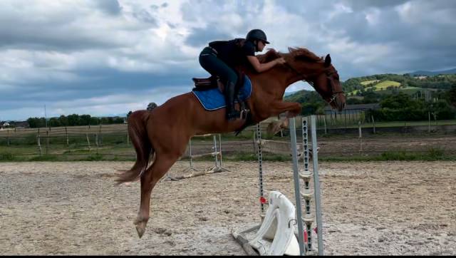 Hermès de l estang, 8 ans