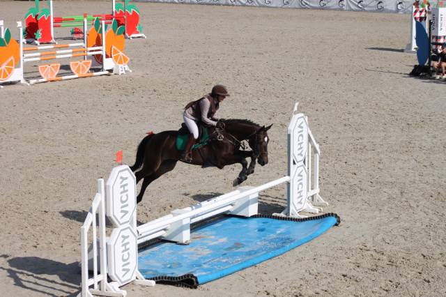 Hongre de 5 ans très gros potentiel