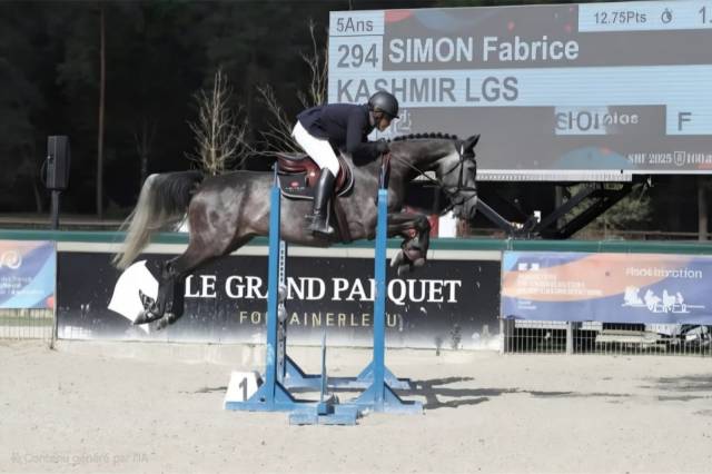 Jument 5 ans top amateur